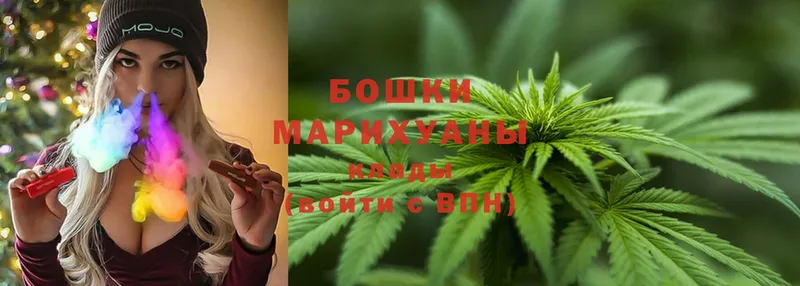 Бошки марихуана SATIVA & INDICA  Навашино 